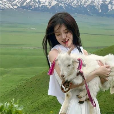 乱世情鸳 在线观看